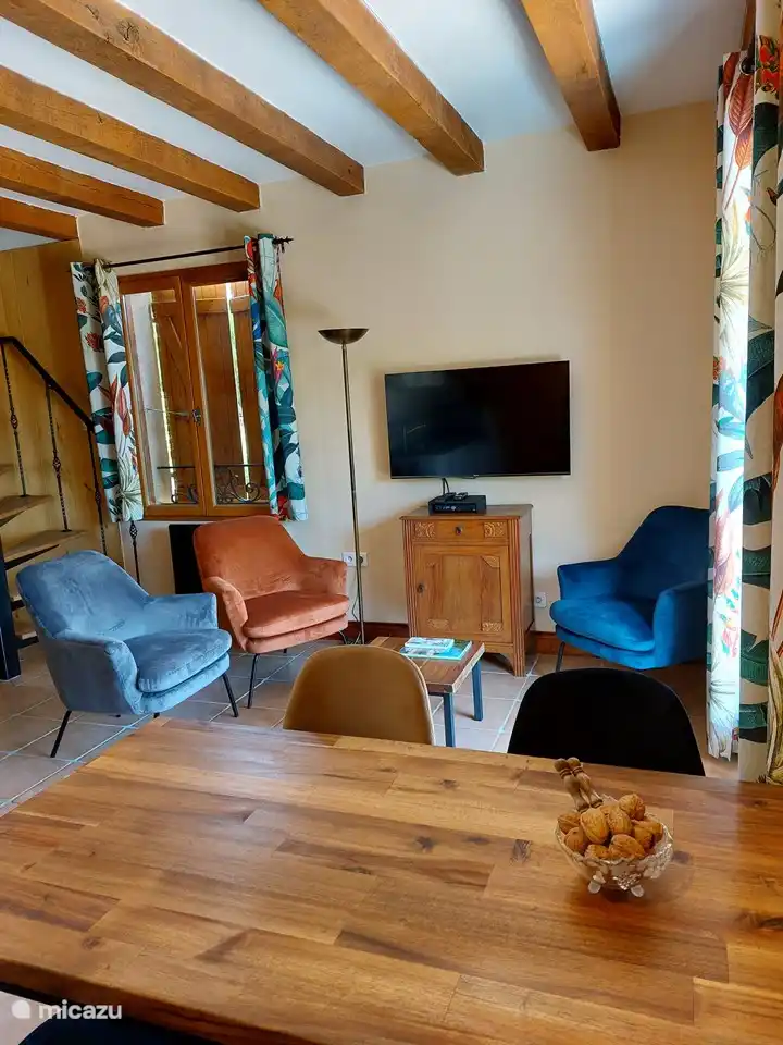 Coin salon cosy avec TV satellite (Canal Digital)