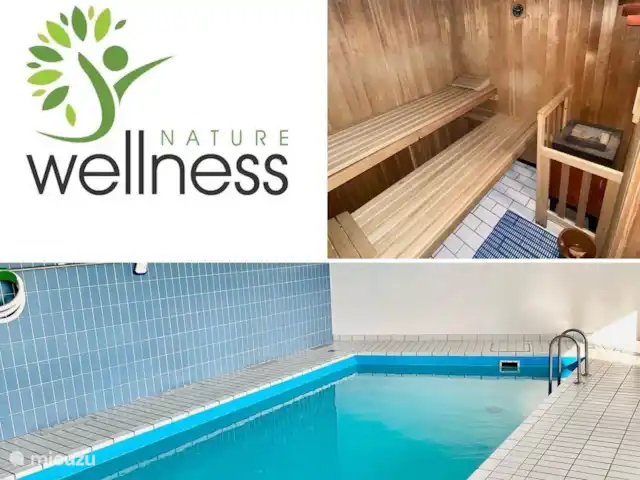 Location de Vacances Allemagne, Forêt-Noire , Schönwald im Schwarzwald, appartement - Appartement Schönwald Piscine et sauna