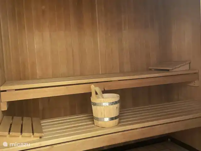 Location de Vacances Allemagne, Forêt-Noire , Schönwald im Schwarzwald, appartement - Appartement Schönwald Sauna
