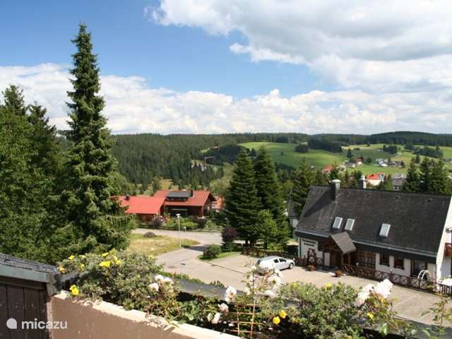 Holiday home in Germany, Black Forest – apartment Apartment Schonwald