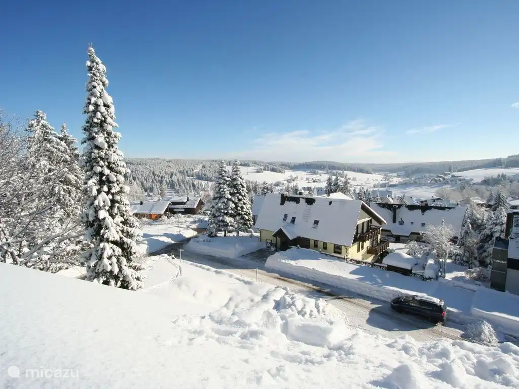 Vue de la terrasse sur le toit (hiver)