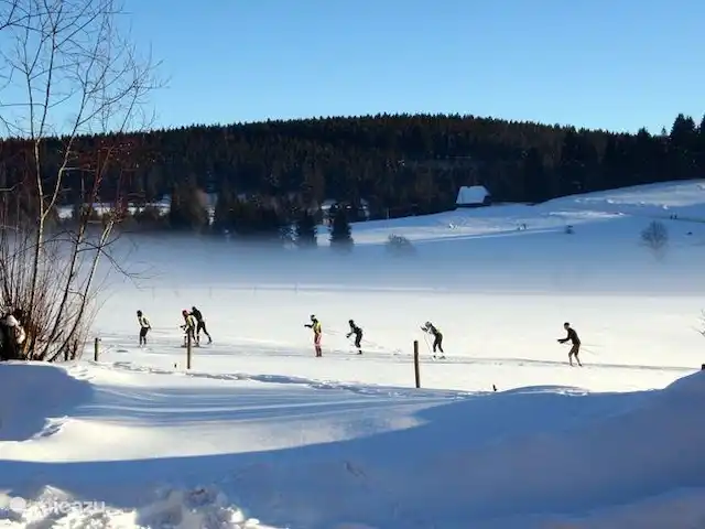 Location de Vacances Allemagne, Forêt-Noire , Schönwald im Schwarzwald, appartement - Appartement Schönwald Ski de fond (ski de fond) - 400 km de piste