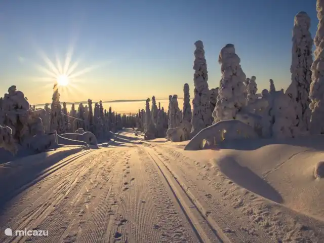 Location de Vacances Allemagne, Forêt-Noire , Schönwald im Schwarzwald, appartement - Appartement Schönwald Ski de fond (ski de fond) - 400 km de piste