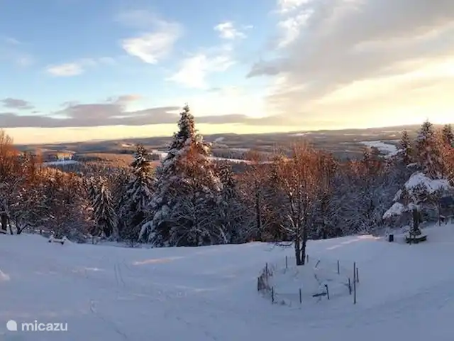 Location de Vacances Allemagne, Forêt-Noire , Schönwald im Schwarzwald, appartement - Appartement Schönwald Zone