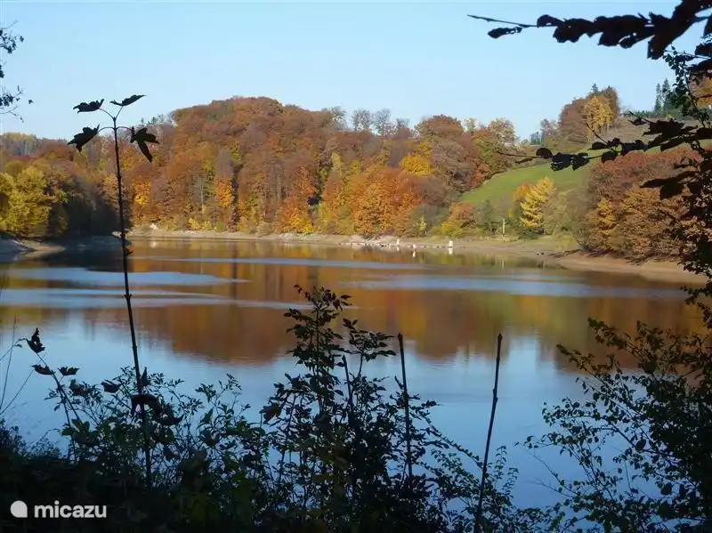 schönen Herbst Farben im Sorpetal, wo man aus großer grosses bild chen gehen kann