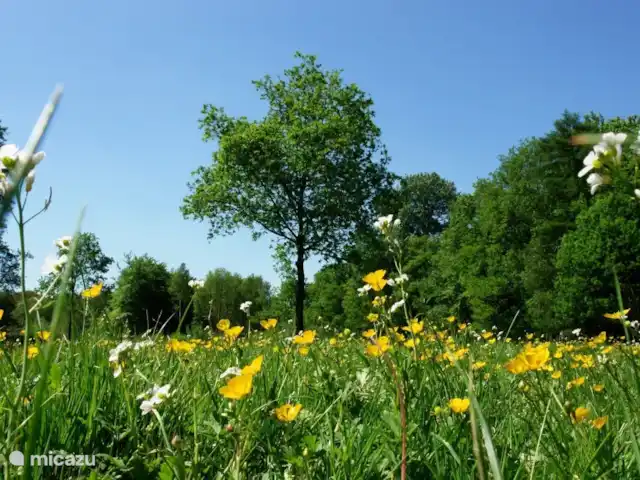 Maison Rumpen Brunssum jusqu'à 10 pers. | Pays-Bas, Limbourg, Brunssum - maison de vacances Brunssum