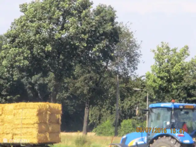 Maison Rumpen Brunssum jusqu'à 10 pers. | Pays-Bas, Limbourg, Brunssum - maison de vacances Événements Limbourg du Sud