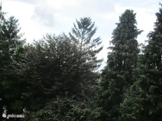 Maison Rumpen Brunssum jusqu'à 10 pers. | Pays-Bas, Limbourg, Brunssum - maison de vacances Vue sur le jardin depuis la chambre