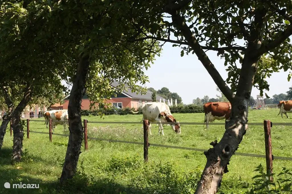Exteriors Ferienwohnungen auf dem Bauernhof 't Katreel