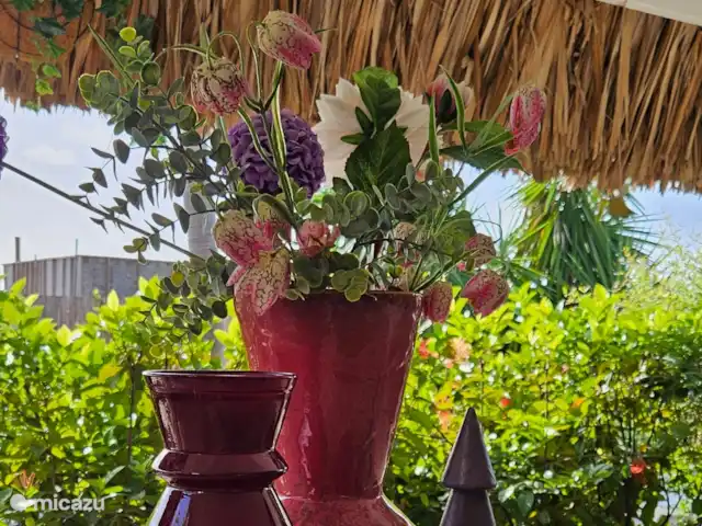 Maison de vacances Dushi | Curaçao, Banda Ariba (est), Mambo Beach - maison de vacances Décoration