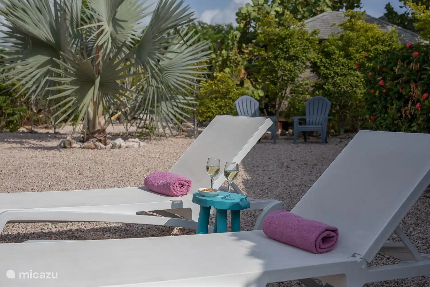 Il y a aussi 2 chaises longues dans le jardin