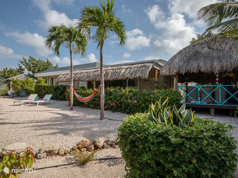 Ferienwohnung Curaçao, Banda Ariba (Ost), Mambo Beach Ferienhaus Vermietung Dushi
