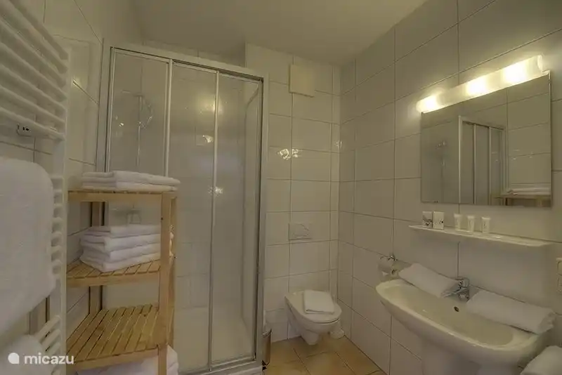 Er is een badkamer met een douche en toilet.
