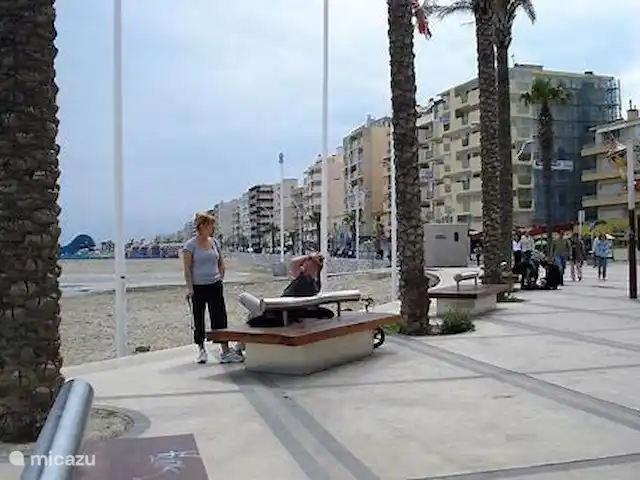 Location de Vacances France, Pyrénées-Orientales, Le Barcarès, villa - Villa 8 La Tulipe Orange Une visite à Canet près du Barcarès avec de belles vues sur la mer Méditerranée