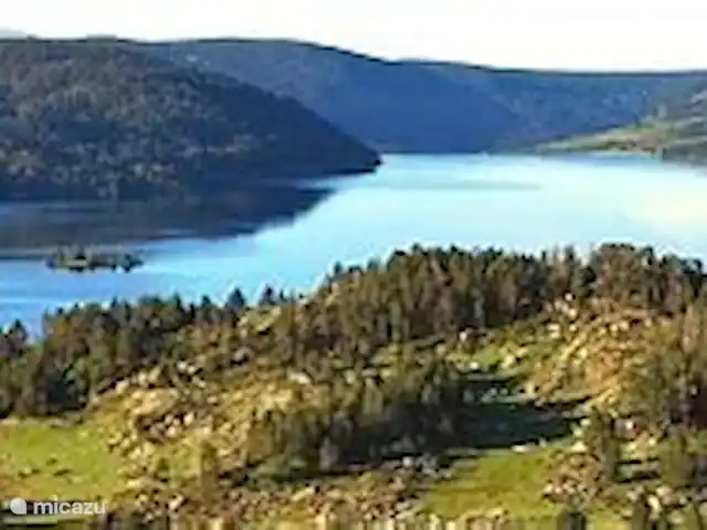 Location de Vacances France, Pyrénées-Orientales, Le Barcarès, villa - Villa 8 La Tulipe Orange L'un des plus beaux endroits des différentes réserves naturelles près du Barcarès