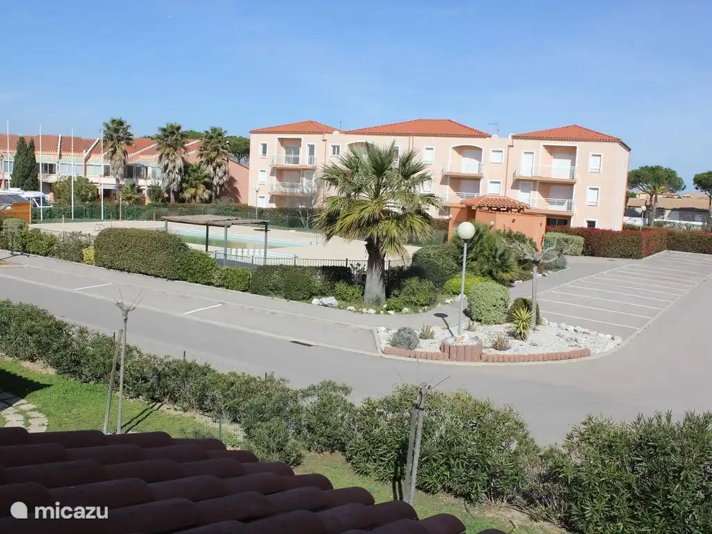 View of the park with beautiful palms