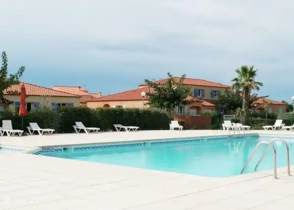 The collective swimming pool in the park with comfortable loungers and swaying palms