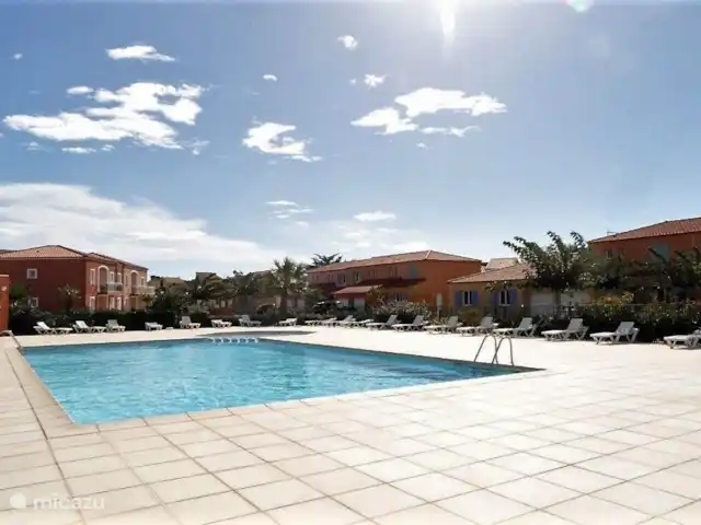 Location de Vacances France, Pyrénées-Orientales, Le Barcarès, villa - Villa 8 La Tulipe Orange La piscine dans le parc avec de confortables transats
