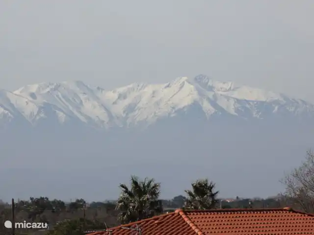 Location de Vacances France, Pyrénées-Orientales, Le Barcarès, villa - Villa 8 La Tulipe Orange Vue sur Le Canigou recouvert de neige. C'est la plus haute montagne des Pyrénées
