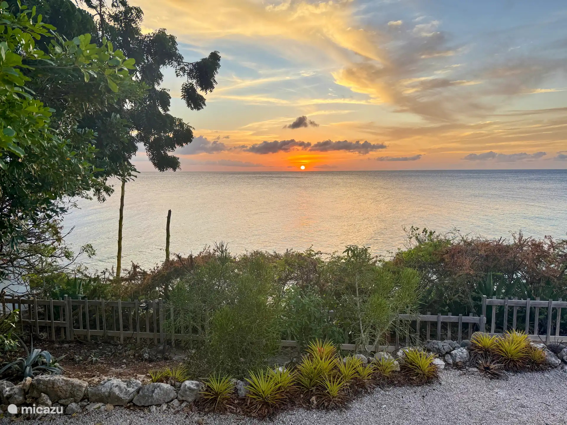 Iedere dag een nieuw schilderij