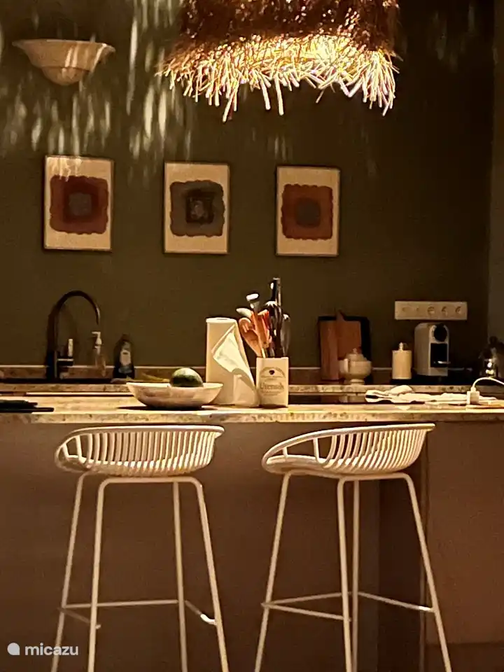 Cocina de lujo con isla de cocina para los verdaderos entusiastas de la cocina