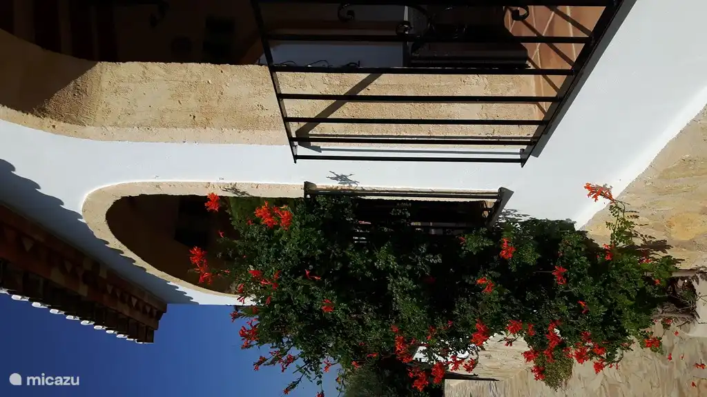 Splendeur des fleurs à la naya.