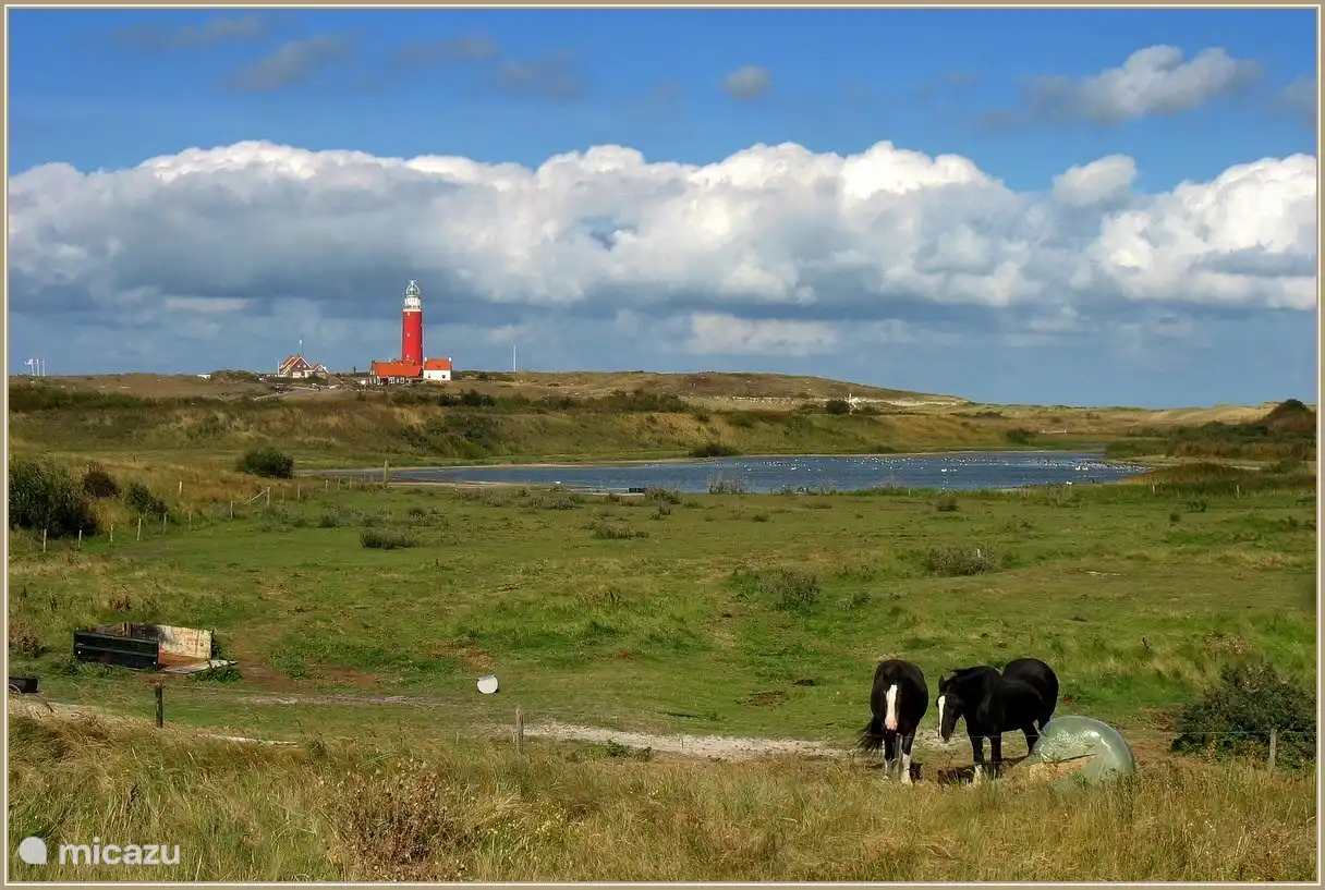 Leuchtturm in der Nähe