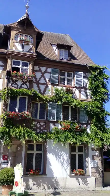 Wandelen en fietsen in de Vogezen