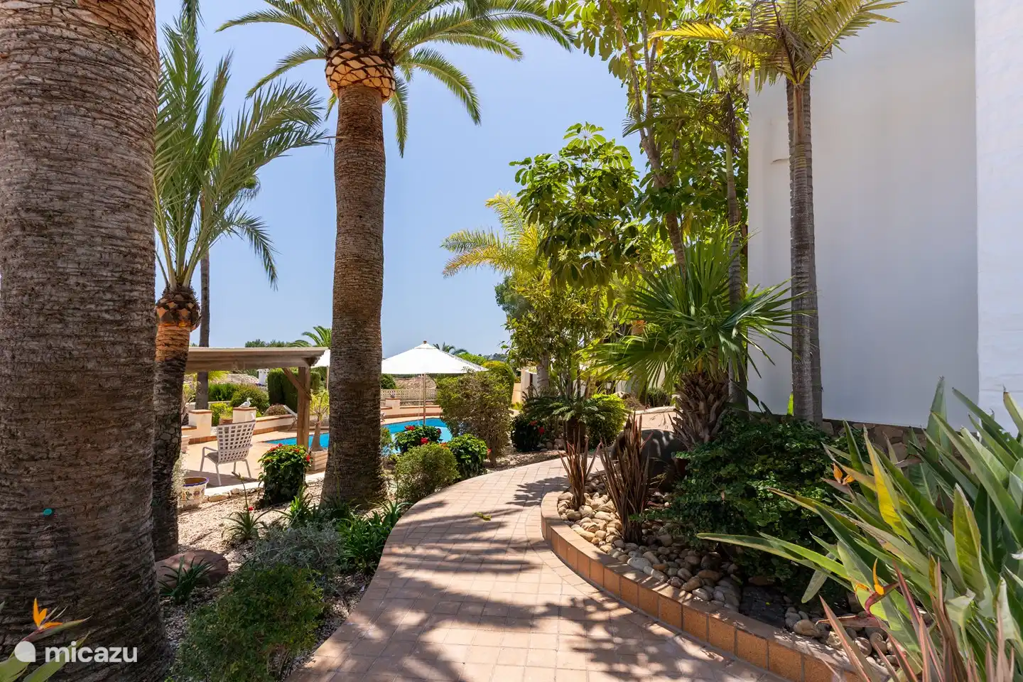 Friedlicher Weg entlang des Hauses zwischen den Palmen.