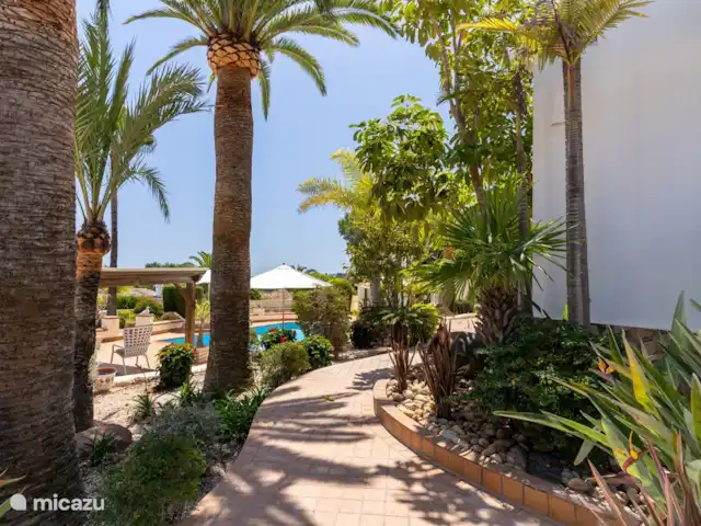 Villa La Joya | Espagne, Costa Blanca, Moraira - villa Sentier de détente le long de la maison entre les palmiers.