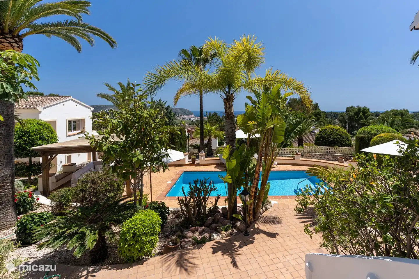 Gepflegter Garten mit viel Grün.