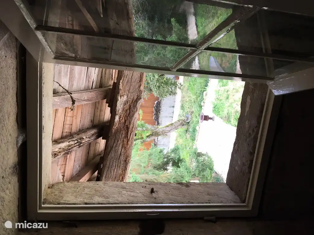 Ein Blick auf den Garten von oben