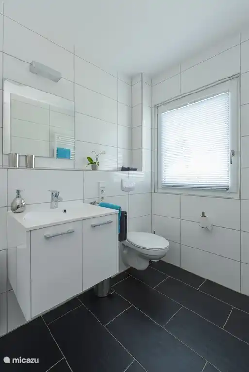 Salle de bain spacieuse avec douche et toilettes au rez-de-chaussée.