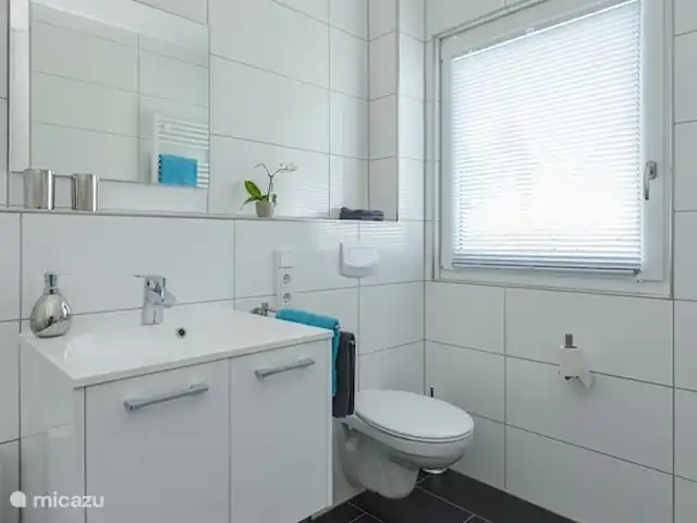 6 persoons vakantiehuis Pulvermaar huren in Duitsland, Eifel, Gillenfeld - vakantiehuis Ruime badkamer met douche en toilet op de begane grond.
