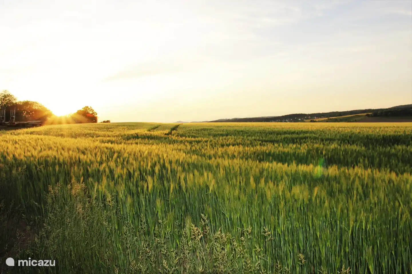 Belles vues du parc de vacances.