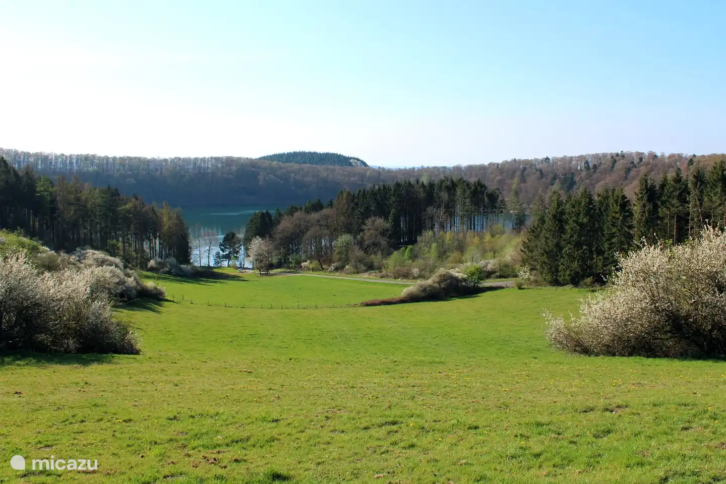 Vue sur le Pulvermaar.