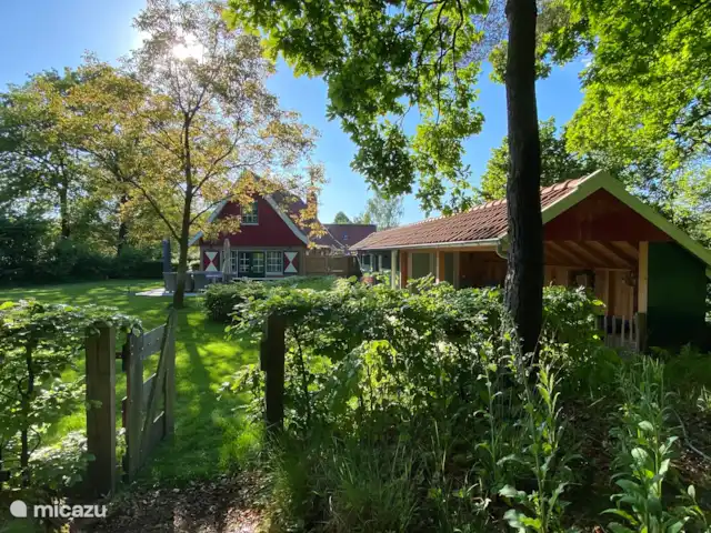 Location de Vacances Pays-Bas, Gueldre, Lievelde, maison de vacances - NatuurlijkLievelde Jardin en bord de forêt