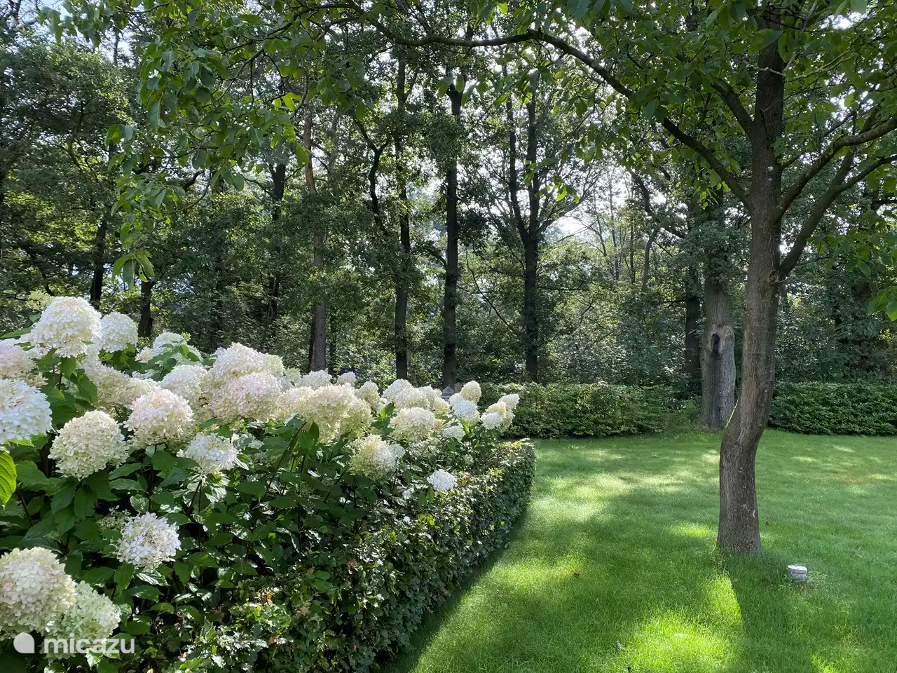 Genießen Sie die verschiedenen Aussichten.