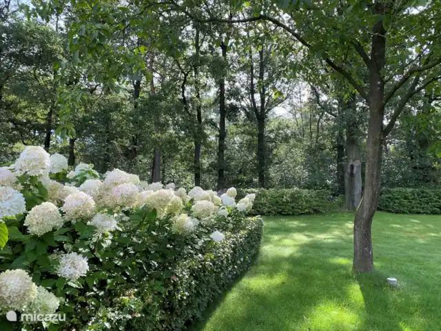 Location de Vacances Pays-Bas, Gueldre, Lievelde, maison de vacances - NatuurlijkLievelde Profitez de tous les différents panoramas.