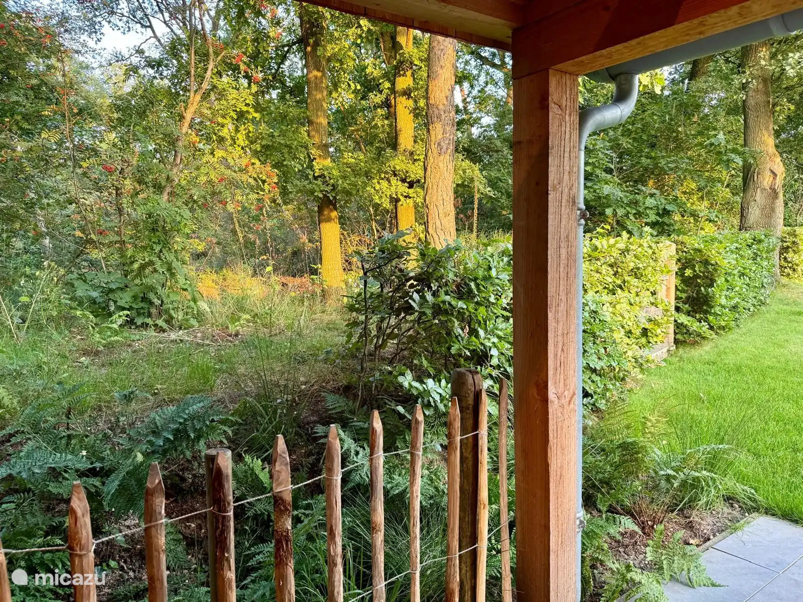 Von der Veranda aus kann man direkt in den Wald blicken. Genießen Sie all die Vögel und Vogelstimmen und wenn Sie Glück haben, sehen Sie auch ein Kaninchen, Eichhörnchen oder Reh.