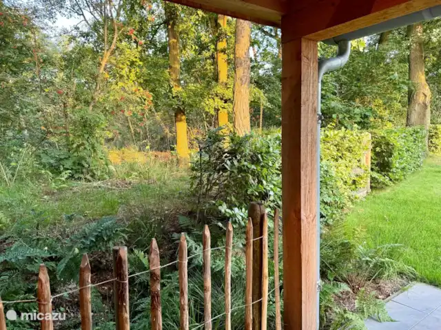 Location de Vacances Pays-Bas, Gueldre, Lievelde, maison de vacances - NatuurlijkLievelde De la véranda, vous pouvez regarder directement dans la forêt. Profitez de tous les oiseaux et des sons d’oiseaux et si vous avez de la chance, vous apercevrez également un lapin, un écureuil ou un cerf.