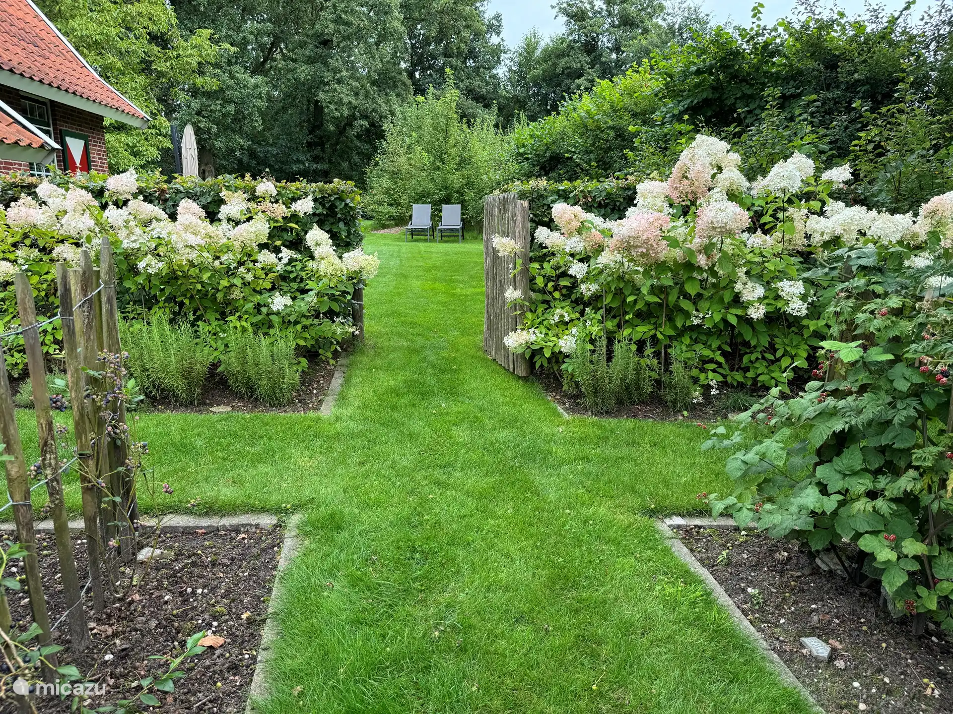 Ein Teil des Gartens ist als Kräutergarten angelegt.