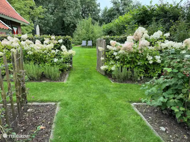 Location de Vacances Pays-Bas, Gueldre, Lievelde, maison de vacances - NatuurlijkLievelde Une partie du jardin est aménagée en jardin d’herbes aromatiques.