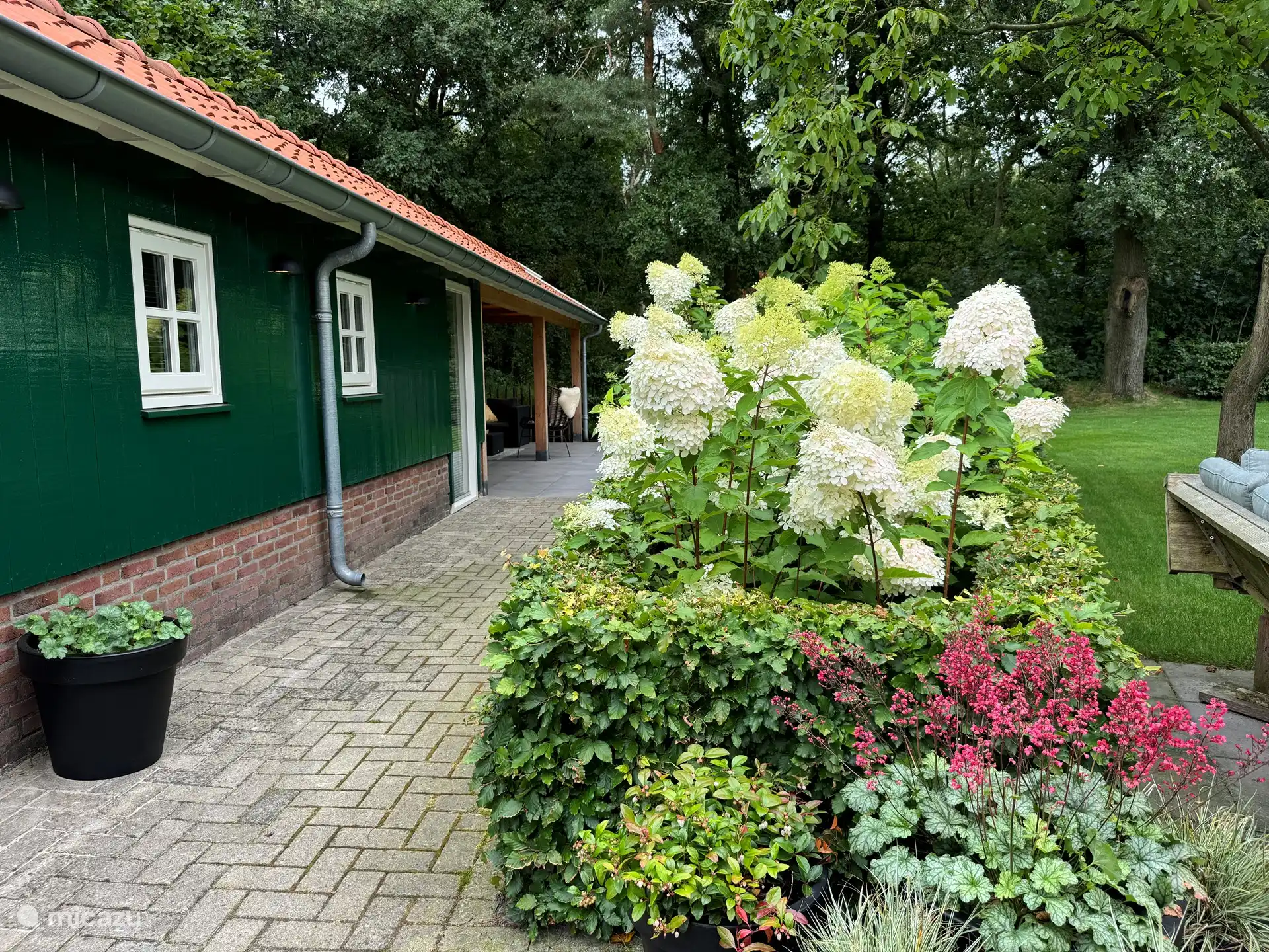 Blick auf die Veranda und den Wald.