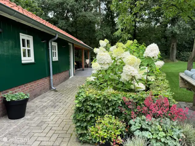 Location de Vacances Pays-Bas, Gueldre, Lievelde, maison de vacances - NatuurlijkLievelde Vue sur la véranda et la forêt.