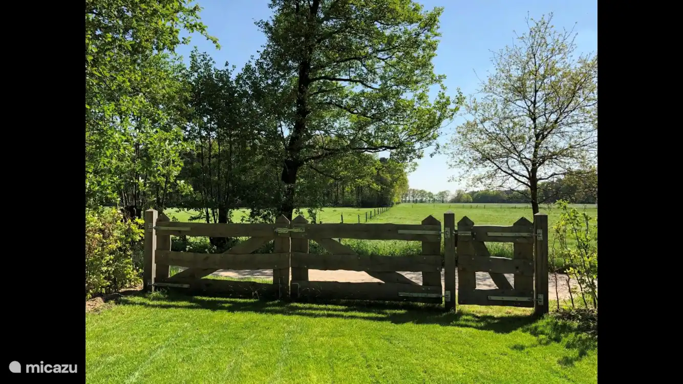 Von der Veranda aus können Sie einen weiten Blick genießen.