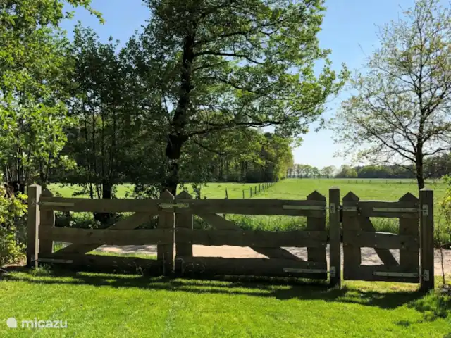 Location de Vacances Pays-Bas, Gueldre, Lievelde, maison de vacances - NatuurlijkLievelde De la véranda, vous pouvez profiter d’une large vue.