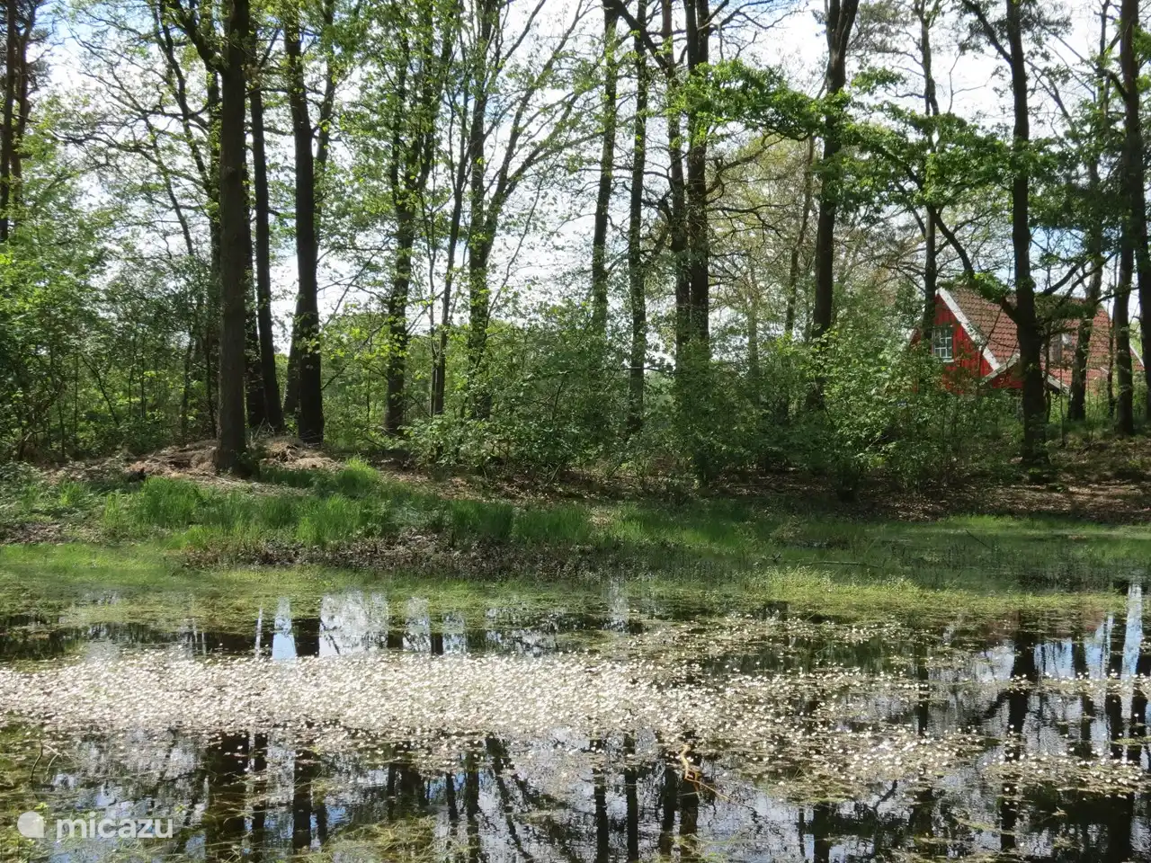 Blick auf das Haus vom Wald aus. 