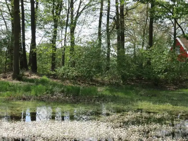 Location de Vacances Pays-Bas, Gueldre, Lievelde, maison de vacances - NatuurlijkLievelde Vue de la maison depuis la forêt.