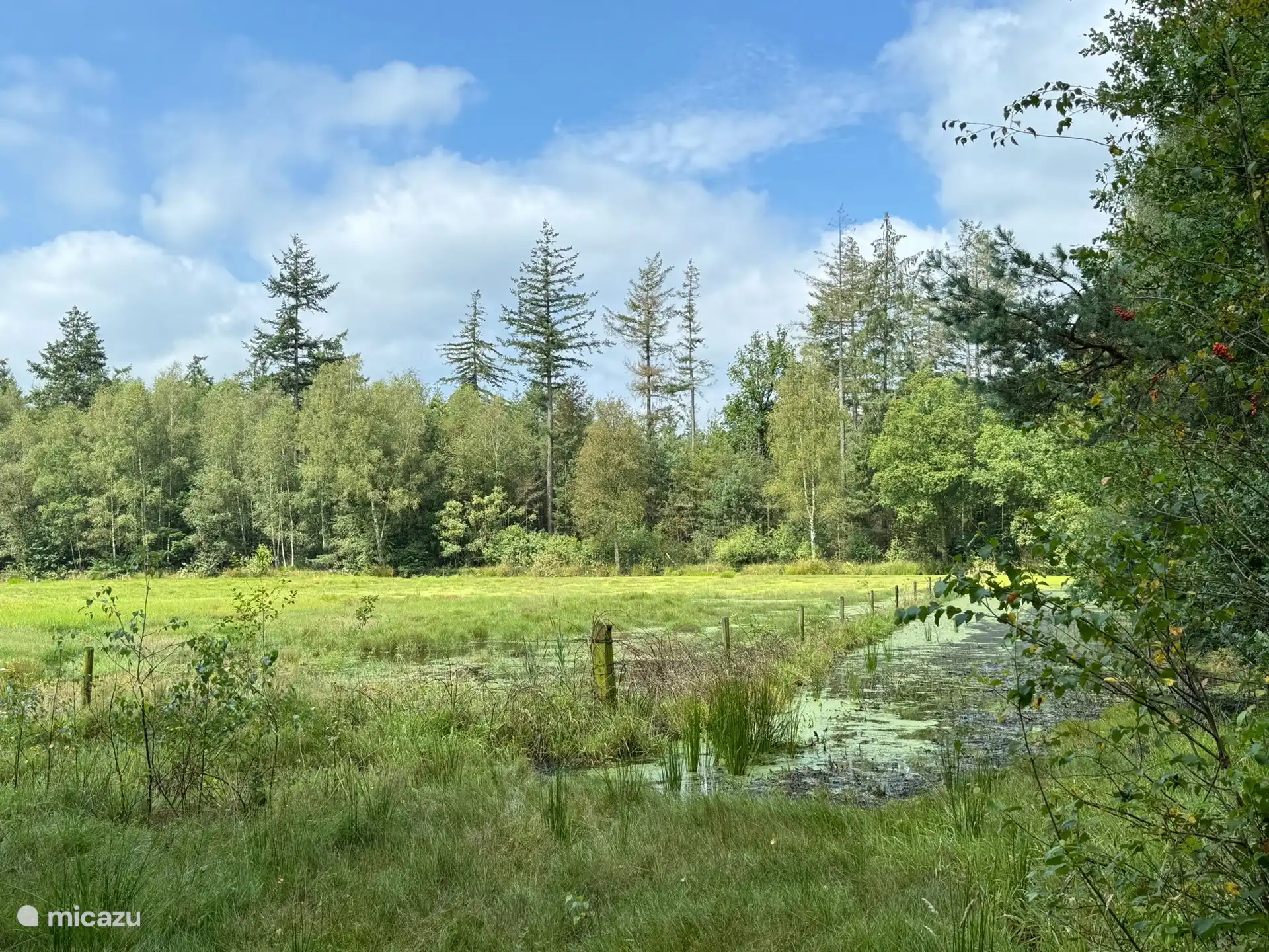 Die Naturschönheiten des Achterhoek sind sehr vielfältig und laden zu einem entspannten Tagesausflug oder einer abenteuerlichen Entdeckungsreise ein. 